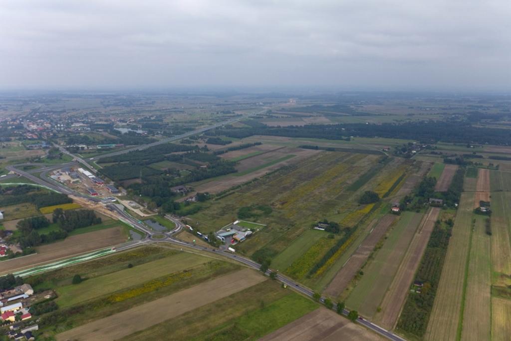 Prologis Park Stryków